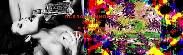 мдпв Сафоново
