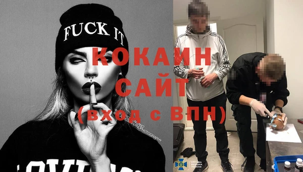 трава Сатка