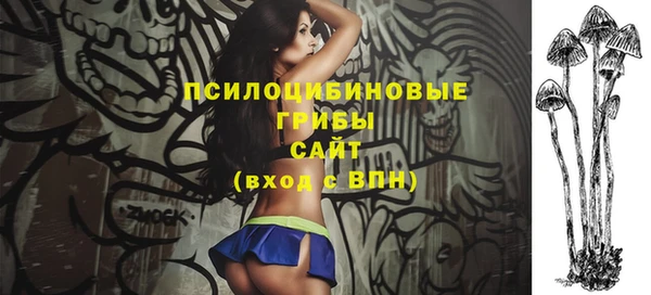 трава Сатка