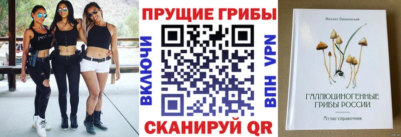 Галлюциногенные грибы Magic Shrooms Сельцо